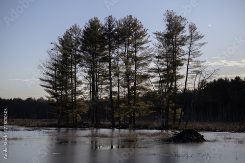 assabet river national wildlife refuge