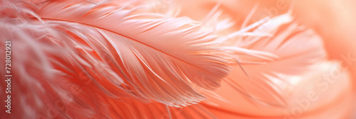 A bird's feather of color peach fuzz.