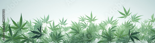 Green Cannabis Leaf Collection on a Soft White Gradient Background