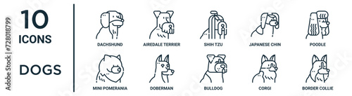 Obraz na płótnie dogs outline icon set such as thin line dachshund, shih tzu, poodle, doberman, c