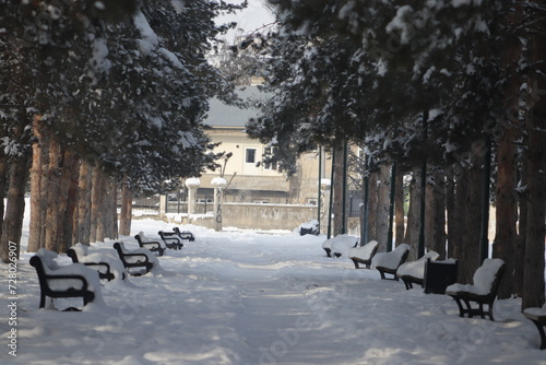 in the park in winter photo