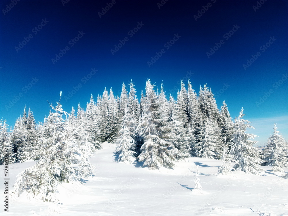 Obraz premium Alpine majesty in winter