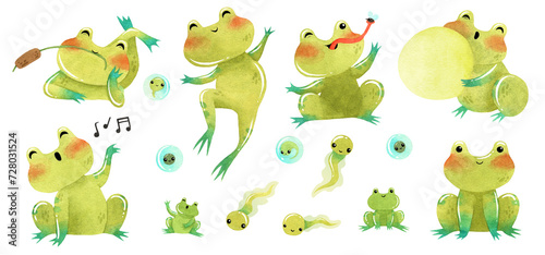 Cute funny green frog, toad watercolor illustration with eggs and tadpole clipart