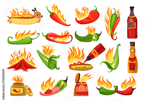 Cartoon hot sauce. Chili ketchups in different bottles. Salsa jars. Red or green peppers. Spicy hotdog. Paprika taste. Burning jalapeno. Mexican kitchen. Spice products. Splendid vector set
