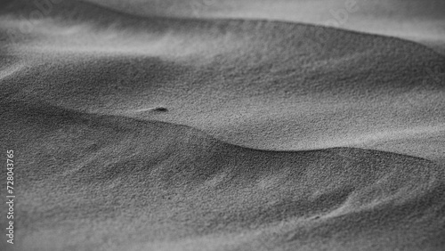 Dune movement