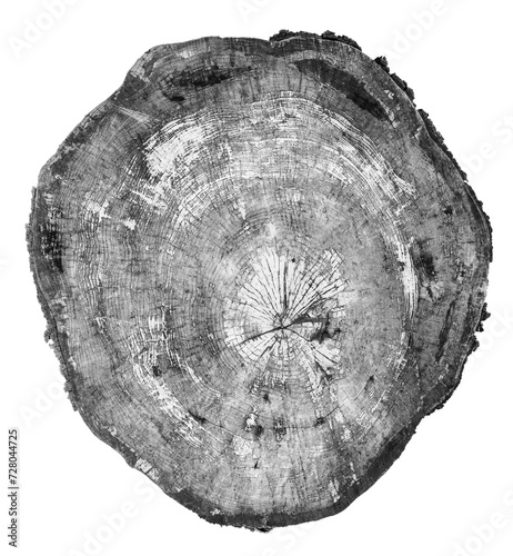 log slice in black and white