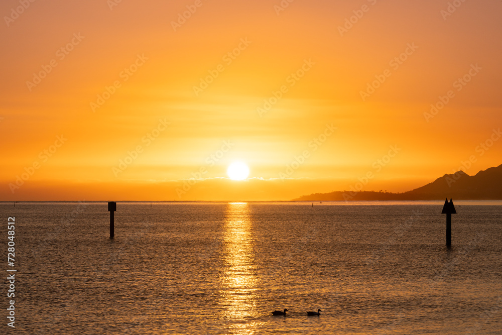 Sunset at Maunalua Bay Beach Park, Hawaii Kai, Honolulu Oahu.  two ducks