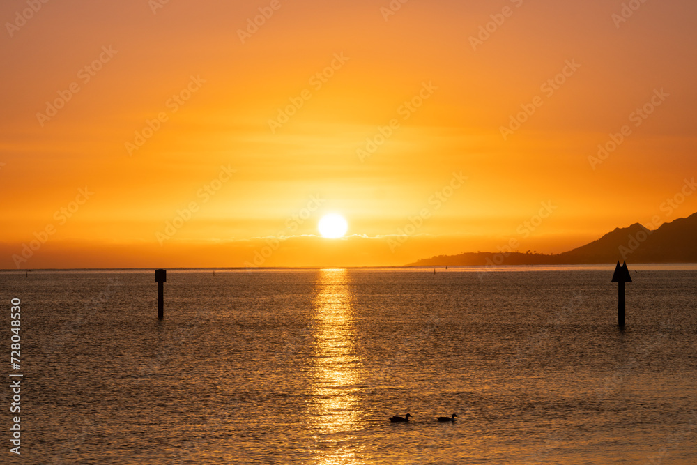 Sunset at Maunalua Bay Beach Park, Hawaii Kai, Honolulu Oahu.  two ducks