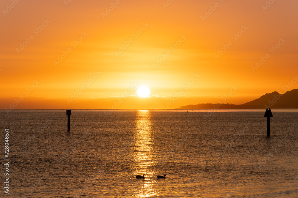 Sunset at Maunalua Bay Beach Park, Hawaii Kai, Honolulu Oahu.  two ducks