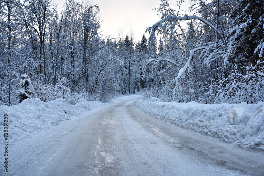 Winter snowy road through the forest. Winter snowy road through the forest.