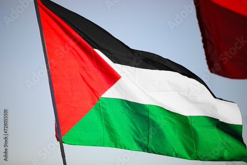 waving palestinian flag during the peaceful demonstration