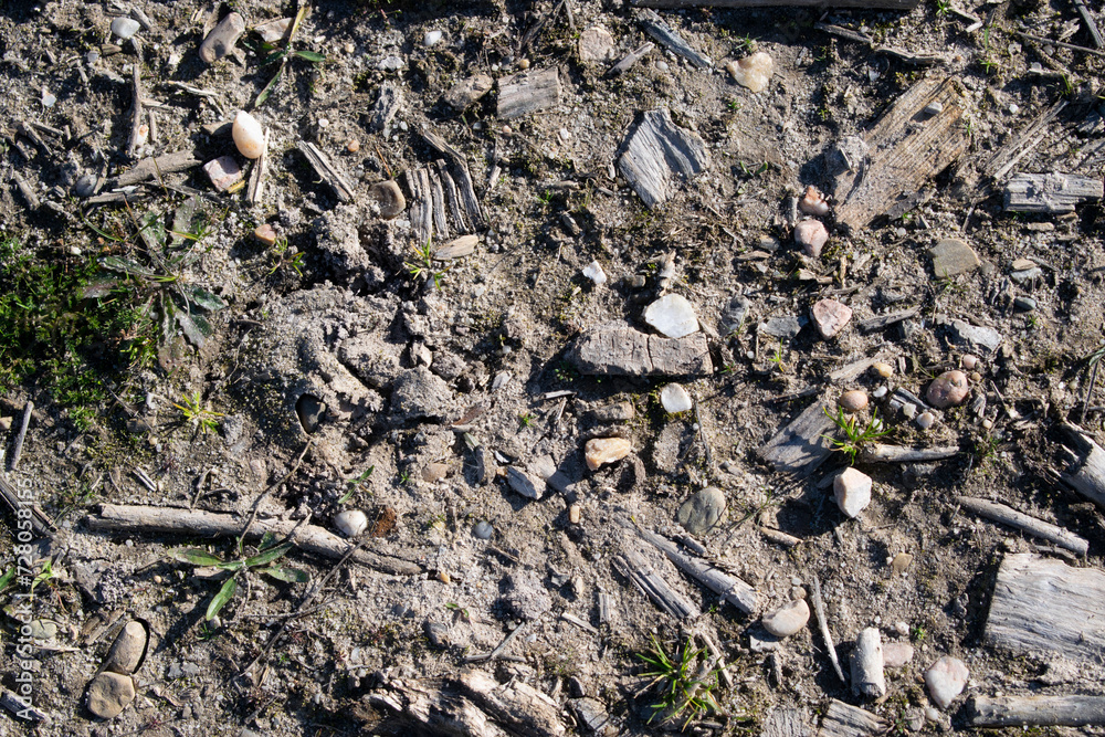 Fondo de camino de tierra con piedras. Fondo de camino de tierra con piedras.