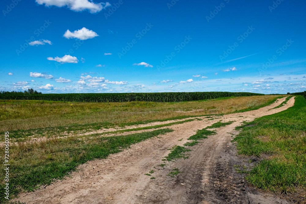 A dirt path winds through a green field under a blue sky dotted with fluffy clouds, leading towards the horizon.