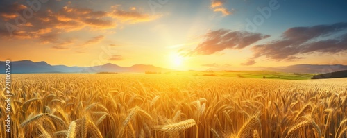 Close up view on wheat field with golden sunset light during sunny day, panorama banner. Generative Ai.