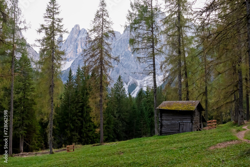 Wooden hut on alpine meadow surrounded by idyllic conifer forest. Scenic view of majestic mountain peaks of Sexten Dolomites  South Tyrol  Italy  Europe. Hiking in panoramic Fischleintal  Italian Alps