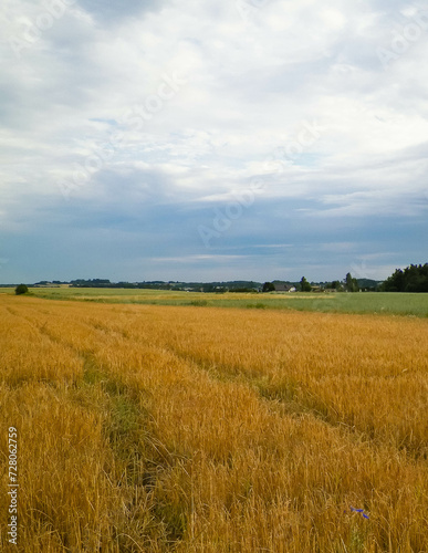 Countryside in northern Poland Kashubia.