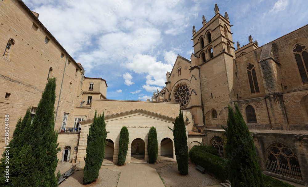Facultad de Medicina, Universidad de Montpellier, 
 y Catedral de San Pedro, Montpellier, Francia
