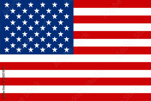 country flag. USA flag. vector image