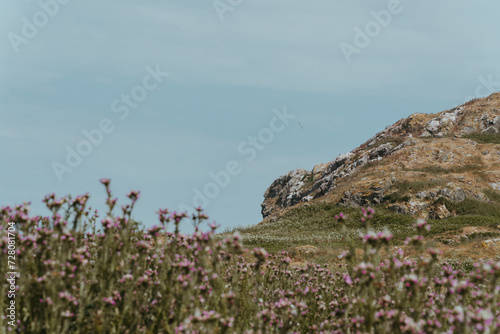 Photography Ireland Eye in Howth Village outside of Dublin, Ireland