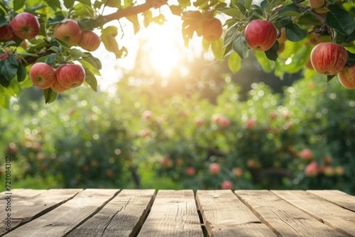 Empty wooden flooring on a blurred background of an apple orchard. display your product outdoors. mockup.
