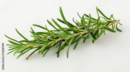 Rosemary Leaf Herb Isolated on White Background