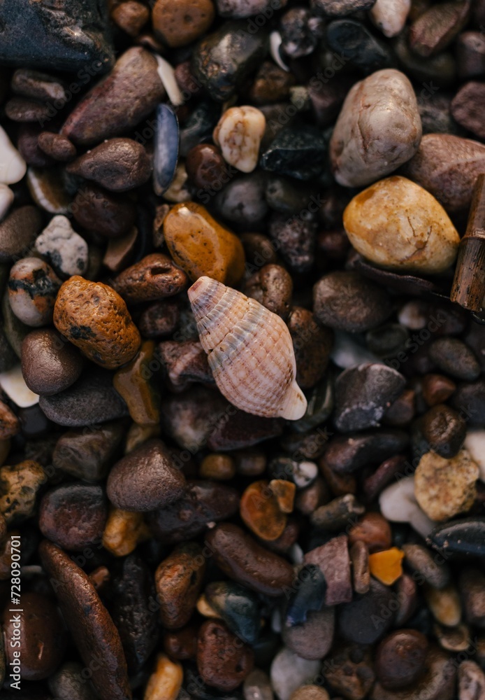 close up of a pebble close up of a pebble