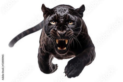 Black Leopard leaping toward the camera on a white background, feline front portrait.