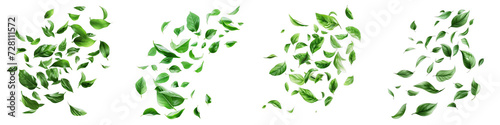 Green leaves fly with a gust of wind Hyperrealistic Highly Detailed Isolated On Transparent Background Png File photo
