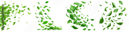 Green leaves fly with a gust of wind. Green leaves wave Hyperrealistic Highly Detailed Isolated On Transparent Background Png File photo