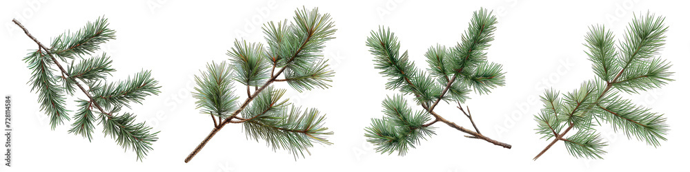  Hyperrealistic Highly Detailed Isolated On Transparent Background Png File