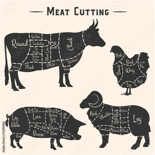 Set of Meat diagrams. Cuts of meat. Cow, Chicken, Pig and Sheep silhouette. Vintage Posters for groceries, butcher shop, meat store. Vector illustration