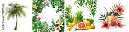 Summer tropic Hyperrealistic Highly Detailed Isolated On Transparent Background Png File