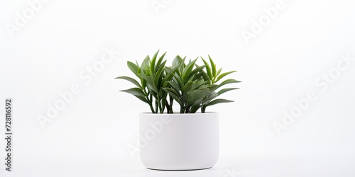 Selective focus on a white plant pot isolated on a white background.