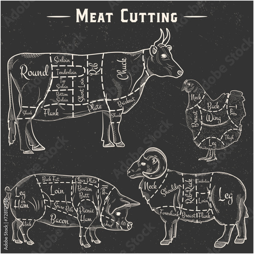 Animal meat cutting diagrams. Farm meat of cow, pig, lamb and chicken. Vector plcat in vintage style