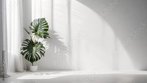 Minimalist interior with white wall and floor natural sunlight and tropical plant in pot.Living room mockup. Design presentations concept.Generative AI