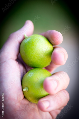 Hand holding two lemons.