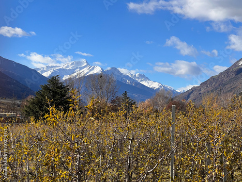 Panorama mountain landscape in Naturns in South Tyrol in autumn, in the background the snow-covered mountains, blue sky with clouds, no people
