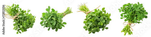 A Bunch Of Fresh Fragrant Fenugreek Trigonella foenum-graecum Hyperrealistic Highly Detailed Isolated On Transparent Background Png File White Background Photo Realistic Image photo