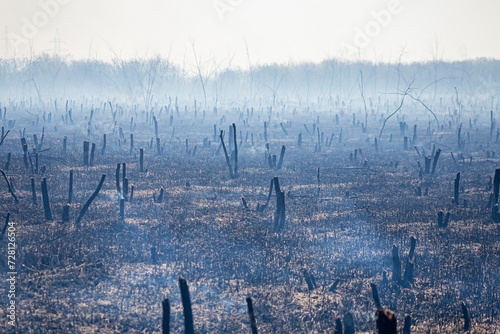 fire in the spring of dead wood and dry grass near a big city threatening the evacuation of people during a mass danger photo