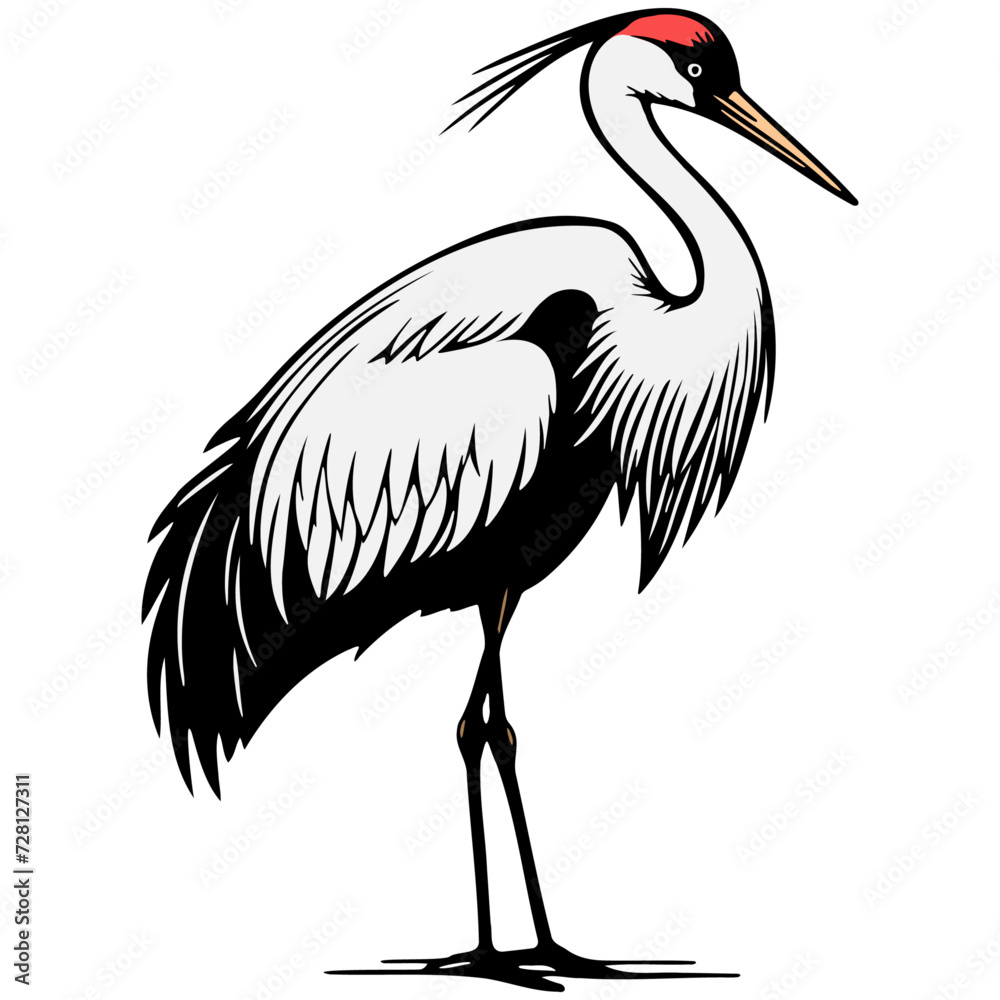 Heron Standing in Paddy Field. Heron Standing in Paddy Field.