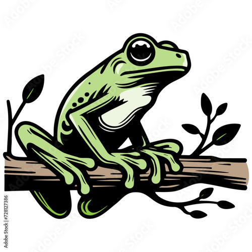 Tree Frog Illustration.