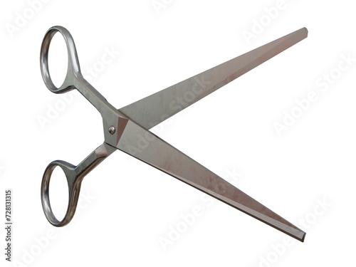 Retro Metal Professional Tailor Silver Scissors on a White Background