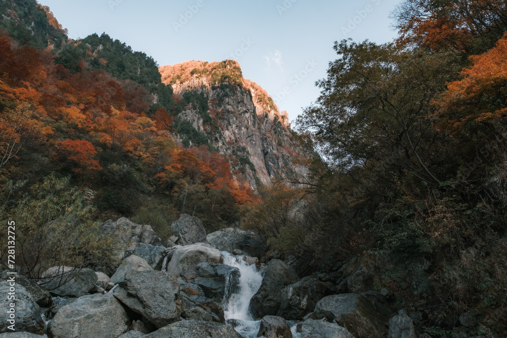 Obraz premium 秋の峡谷