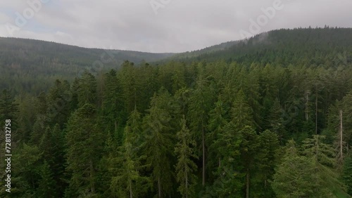 Wallpaper Mural Drone flight over forest with fog, cloudy atmosphere Torontodigital.ca