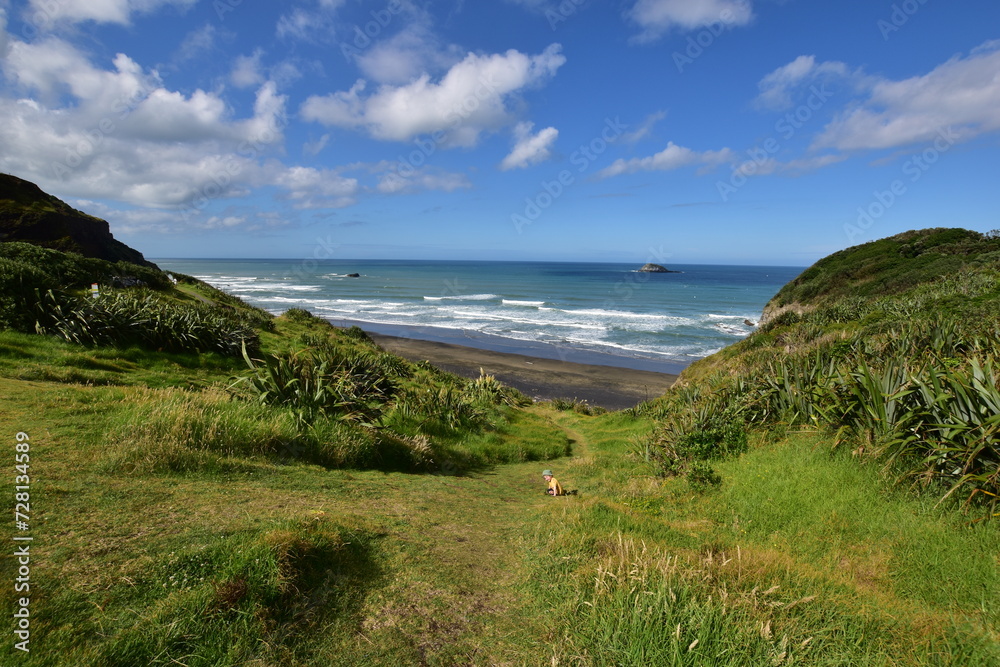 View at the Muriwai Gannet colony beach