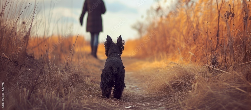Enchanting Scottish Terrier and Devoted Owner Embrace a Scenic Walk with their Playful Scottish Terrier