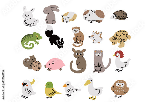色々なペットの小動物のイラストセット