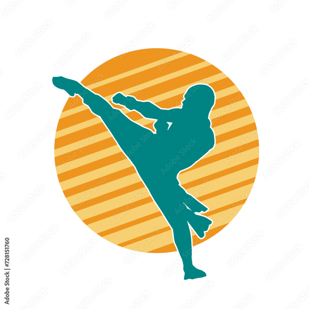 Silhouette of a male doing martial art kick pose. Silhouette of a martial art male doing kicking pose.
