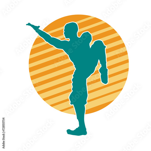 Silhouette of a man in oriental martial art pose. Silhouette of a male in martial art move.