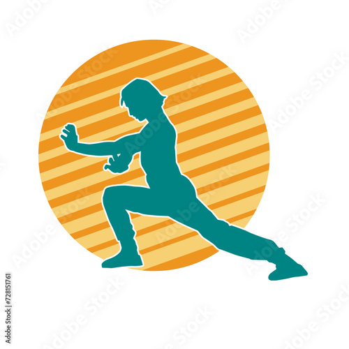 Silhouette of a man in oriental martial art pose. Silhouette of a male in martial art move.